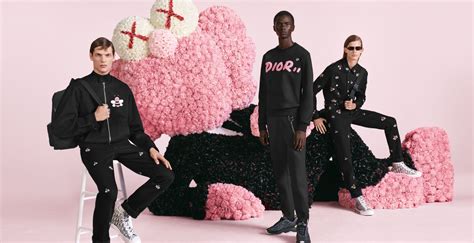 kaws x dior sweatshirt|kaws x dior wallpaper.